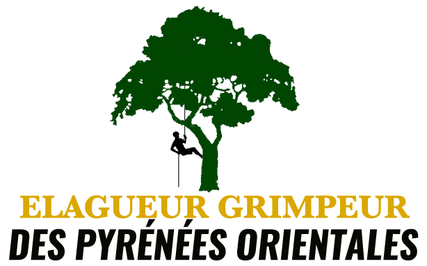 Elagueur Grimpeur Des Pyrénées Orientales
